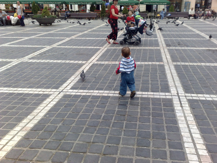 goana dupà porumbei