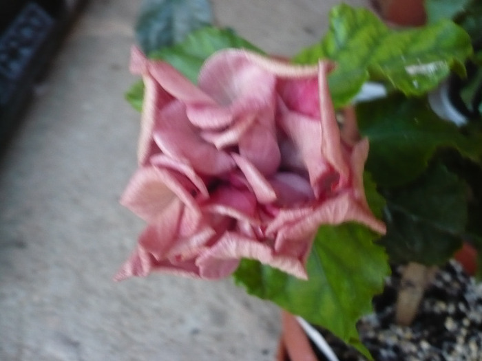P1070455