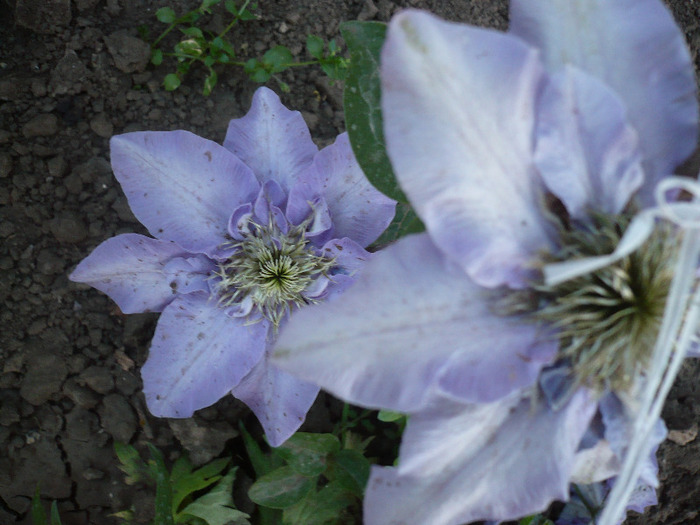 P1070464