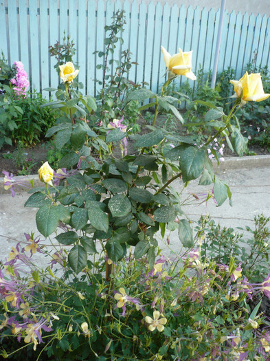P1070465