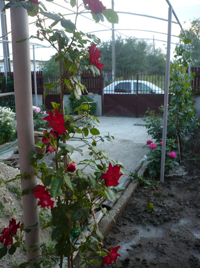 P1070468