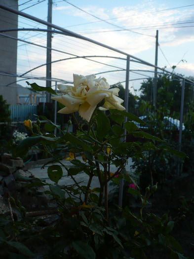 P1070469