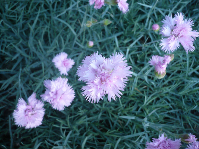 P1070488