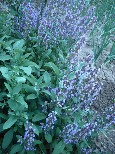 P1070490