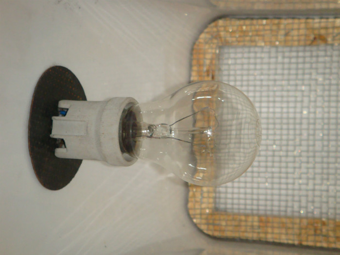 DSC02346 - home made incubator