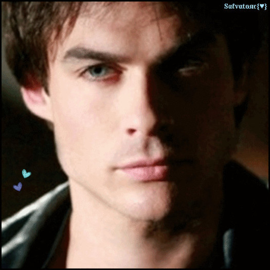 damon 7