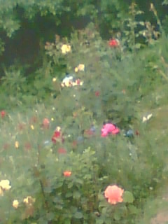 Picture 056