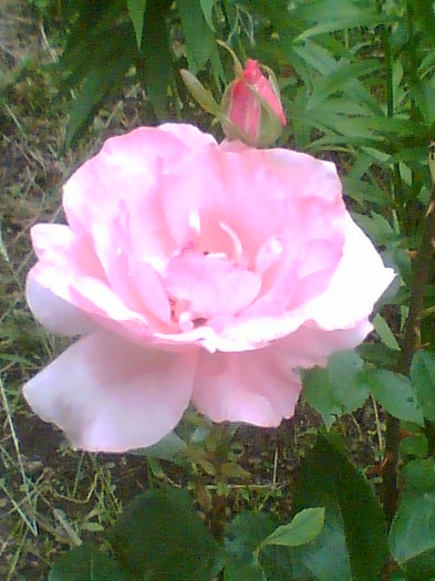Picture 062