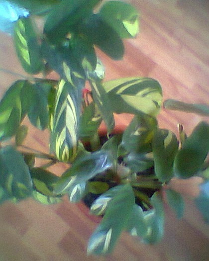 Fotogr.0221