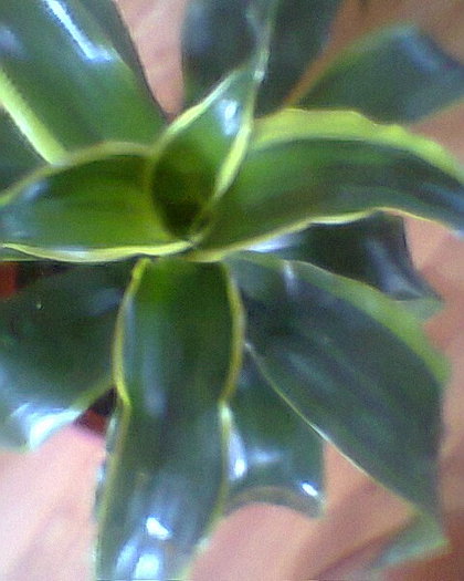 Fotogr.0222