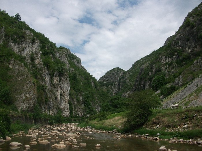 Valea Sohodolului-Runcu-Gorj