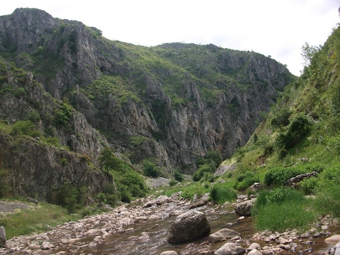 Valea Sohodolului