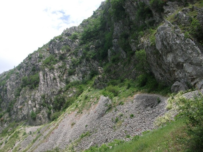 Valea Sohodolului