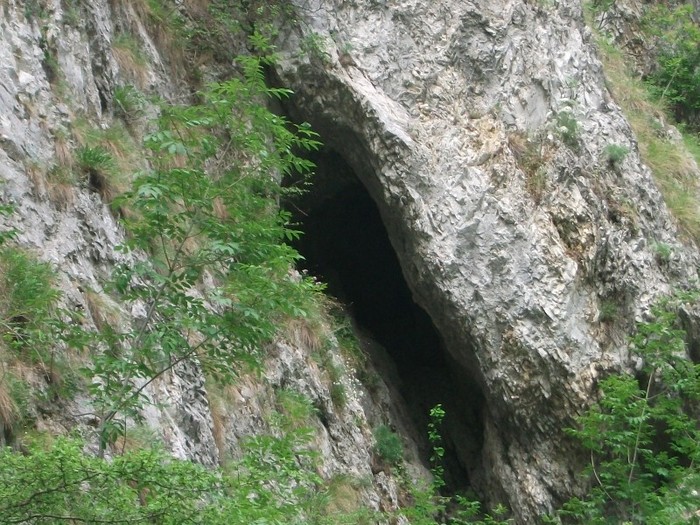 Valea Sohodolului