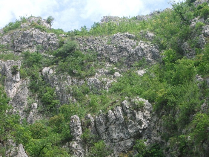 Valea Sohodolului