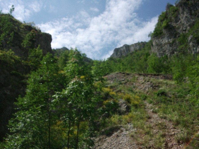 Valea Sohodolului