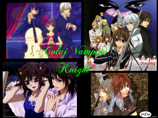 Colaj Vampire Knight