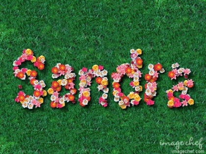 samp69d488cc0efdab30