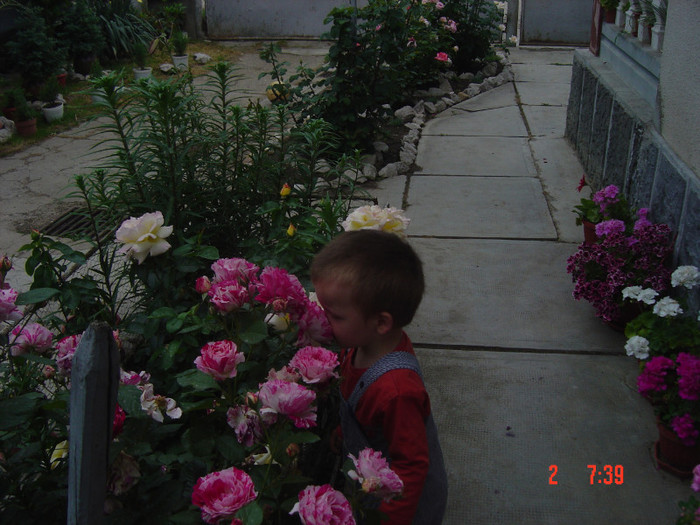Picture 642