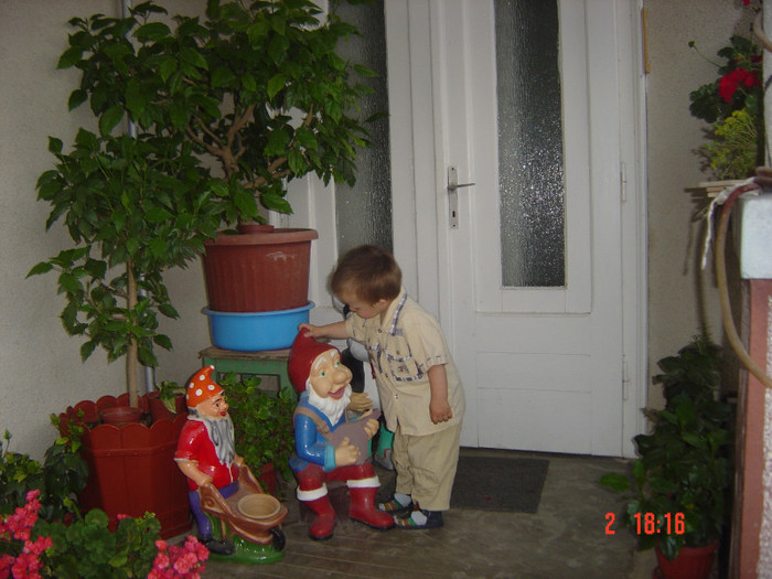 Picture 655