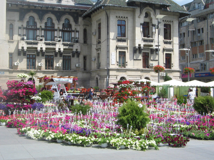 IMG_4288 - Expo flora 2011 Craiova