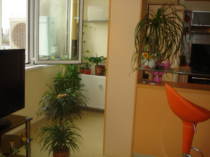 DSC04756 - ACASA