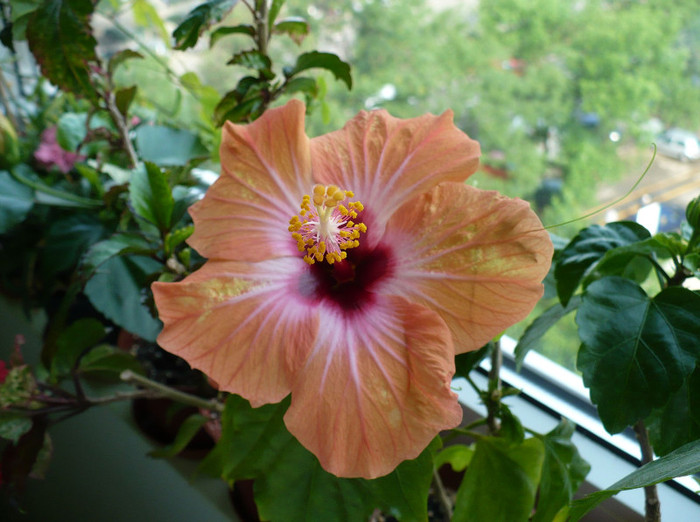 P1340336