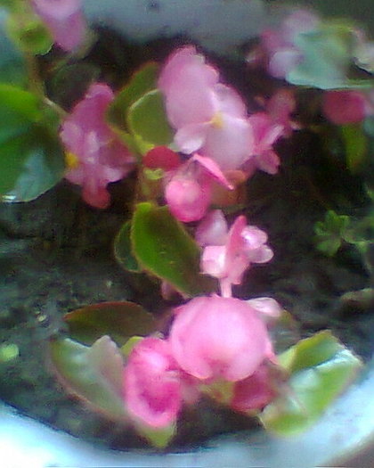 Fotogr.0266