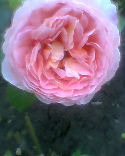 Fotogr.0289