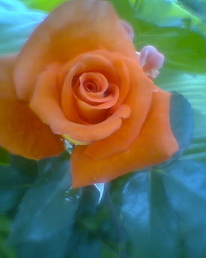 Fotogr.0294