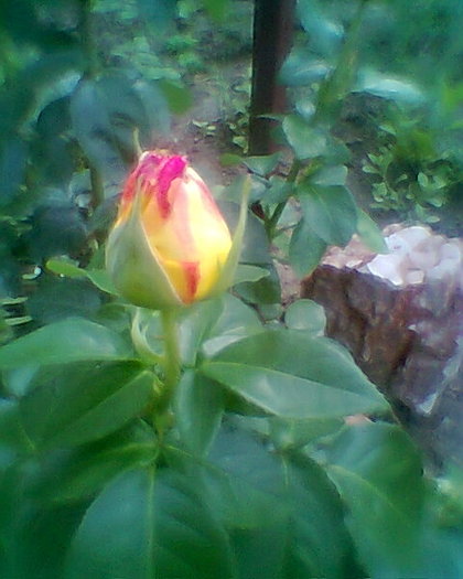 Fotogr.0300