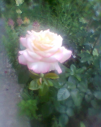 Fotogr.0301