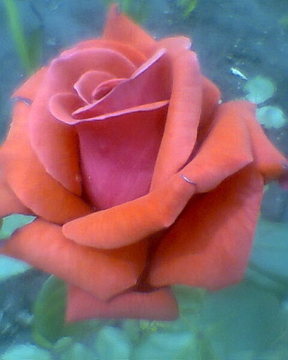 Fotogr.0302