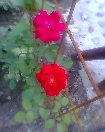 Fotogr.0284