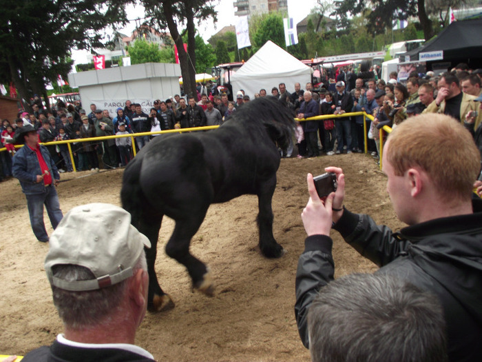 DSCF0486 - Agraria Cluj 2011