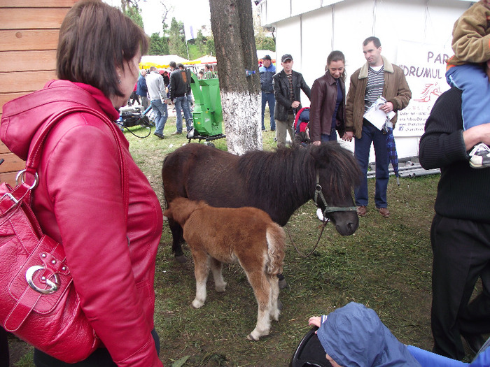 DSCF0494 - Agraria Cluj 2011