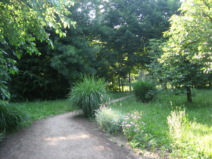 IMG_0846 - gradina botanica Macea 2011