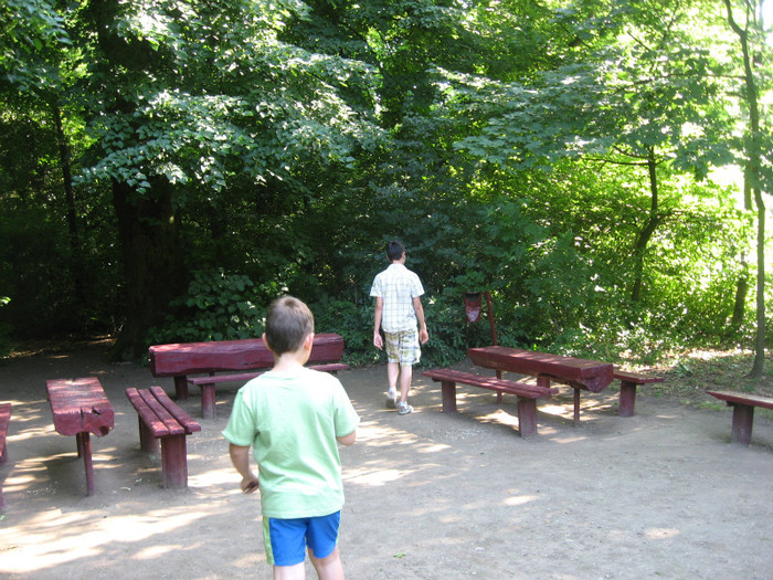 IMG_0848 - gradina botanica Macea 2011