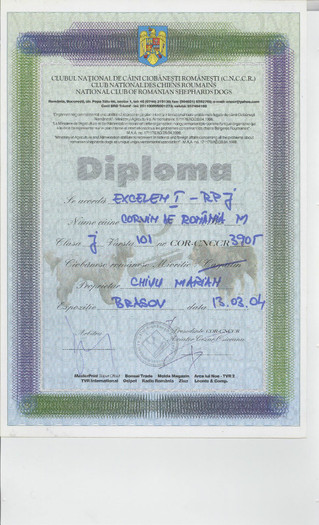 Diploma model