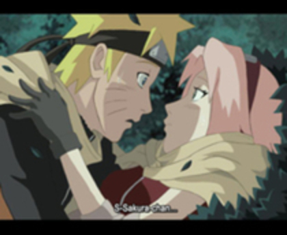 N:S...S...Sakura...