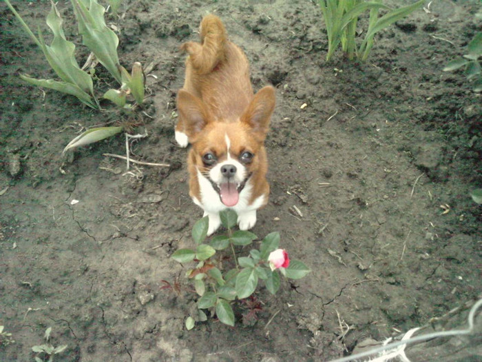 P030611_15.470002000