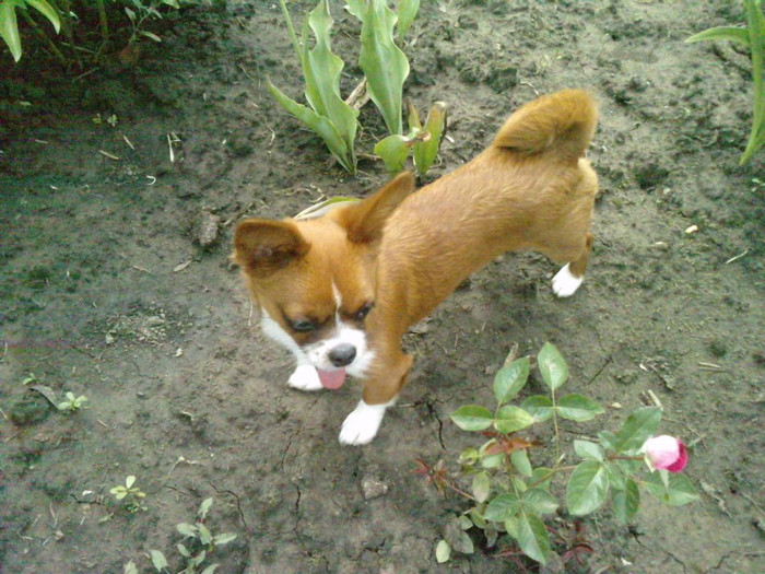 P030611_15.480001000