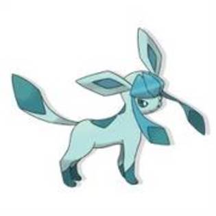 glaceon - Pokemonii mei