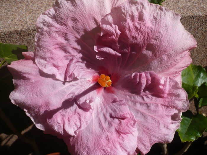 P1070570