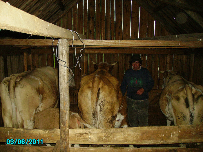 Le place laptele - Stana noastra de vaci si oi 2010