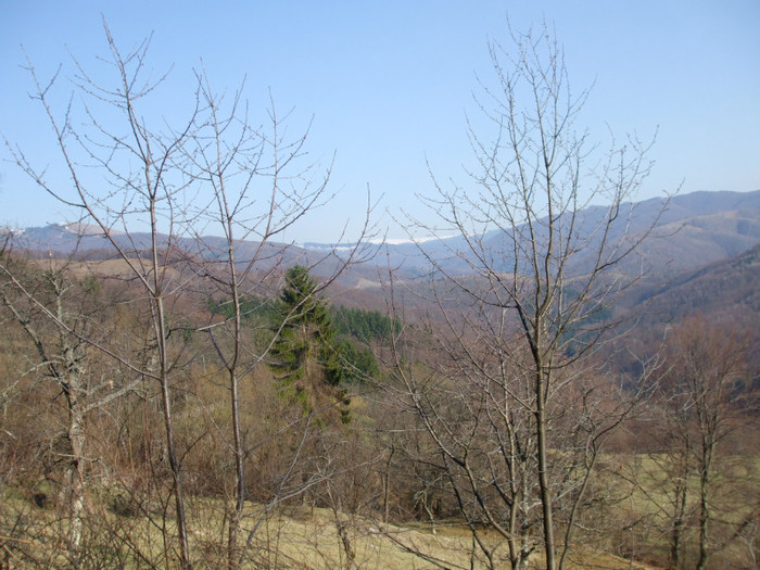 DSCF6136