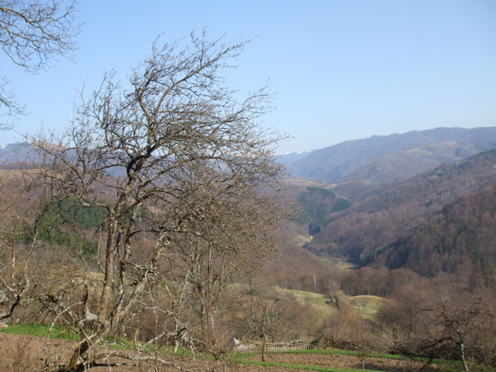 DSCF6141