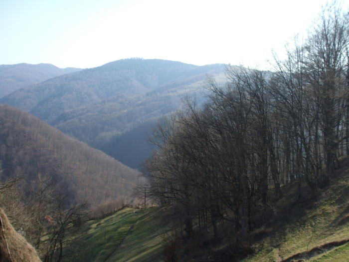 DSCF6144