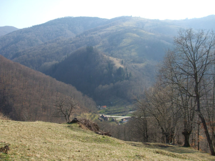 DSCF6145