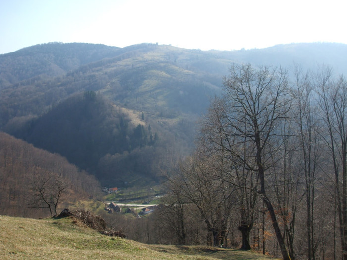 DSCF6146